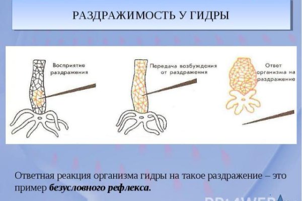 Гидра альтернатива