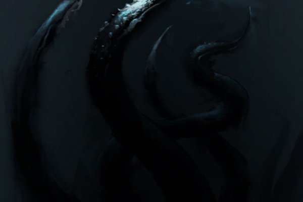 Kraken kraken link24 info